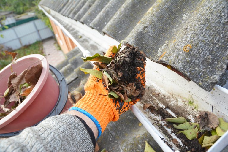 spring home gutter cleaning